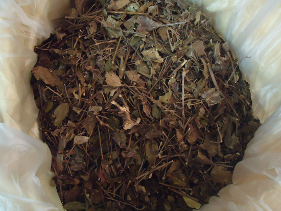 Chè vằng