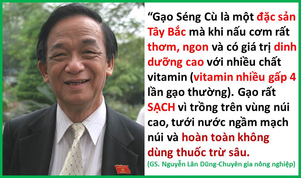 Gạo séng cù tây bắc