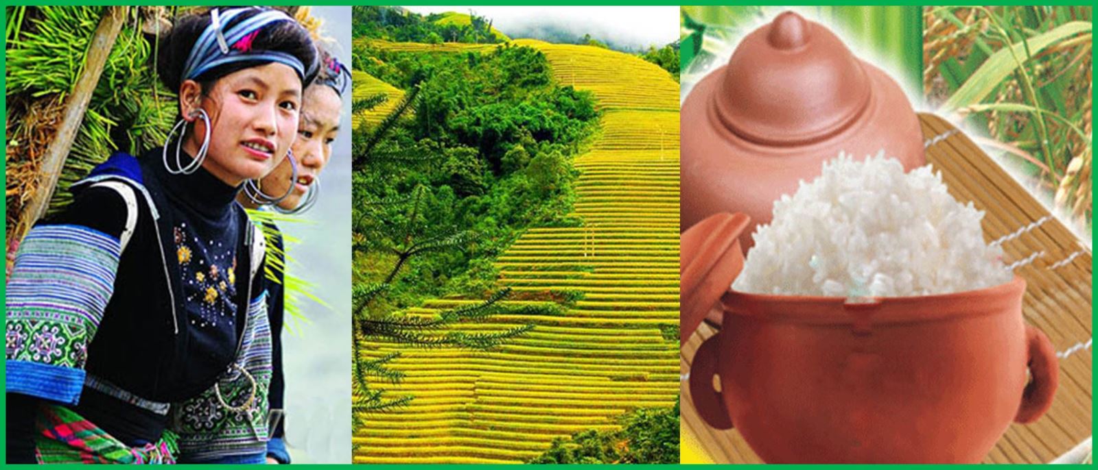 Gạo séng cù Tây Bắc