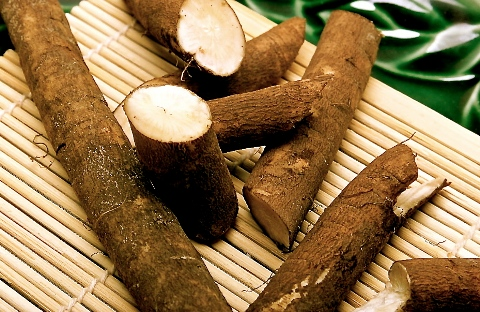 Ngưu bàng tươi thực dưỡng
