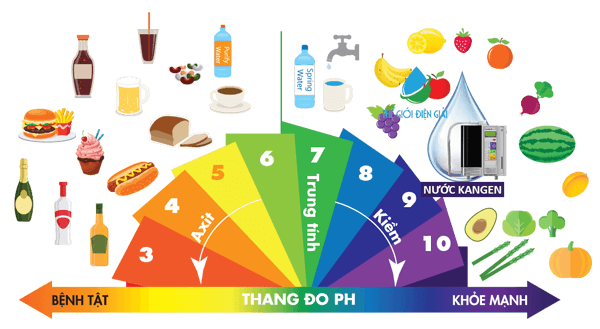 Thực phẩm tạo axit và kiềm